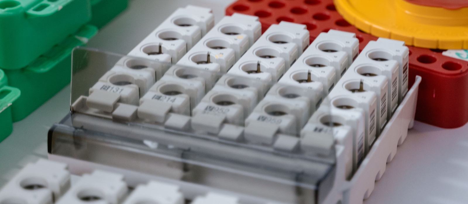 A rack of diagnostic sample tubes being handled with blue gloves on a laboratory bench